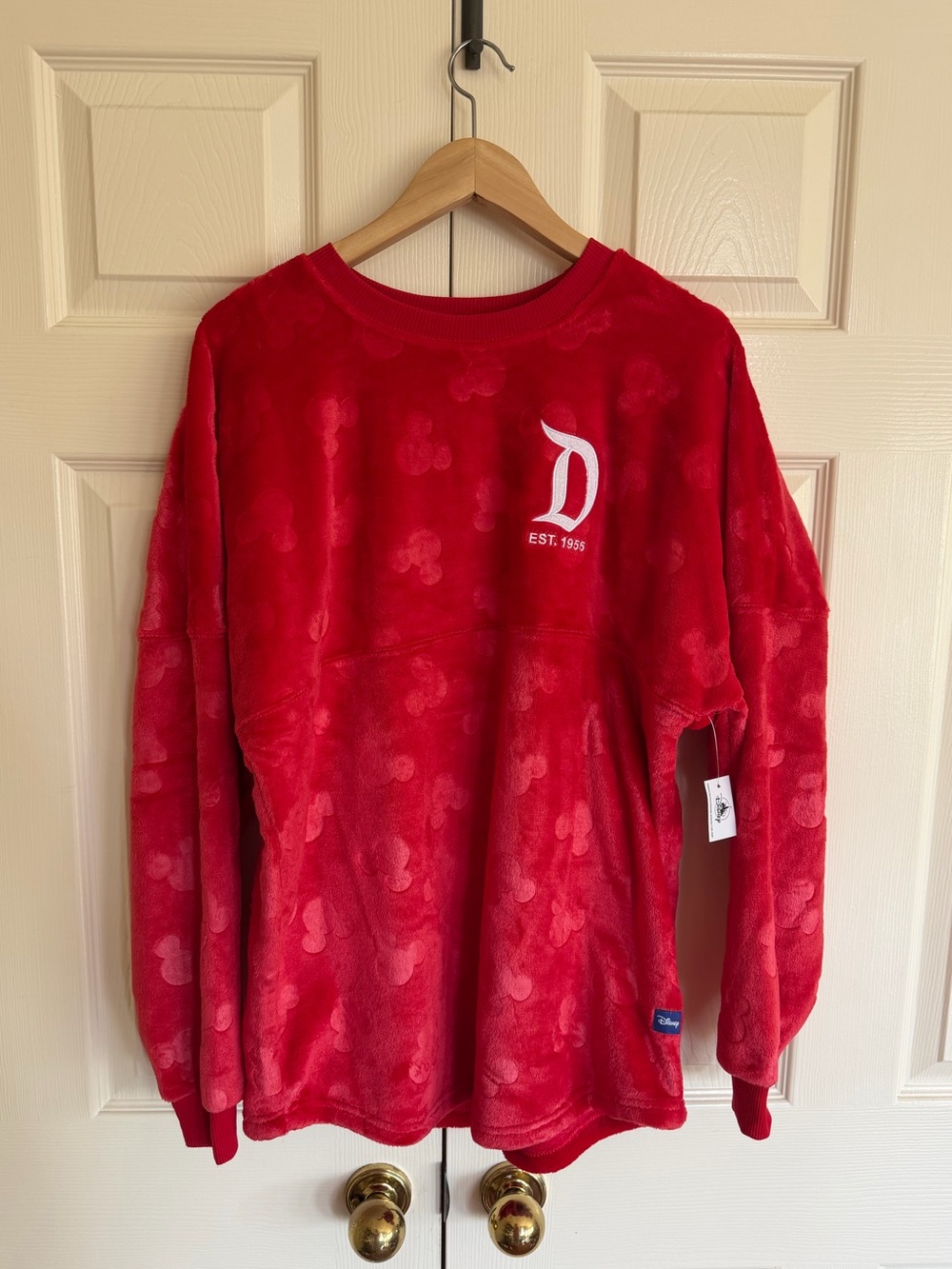 Disneyland Red Plush Sherpa Hidden Mickey Spirit Jersey